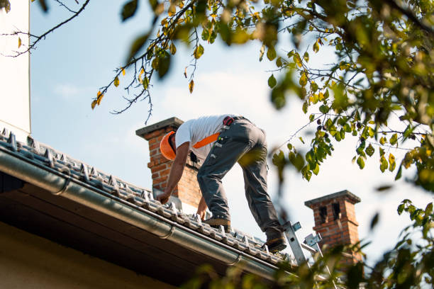 Roof Installation Near Me in Pecan Plantation, TX